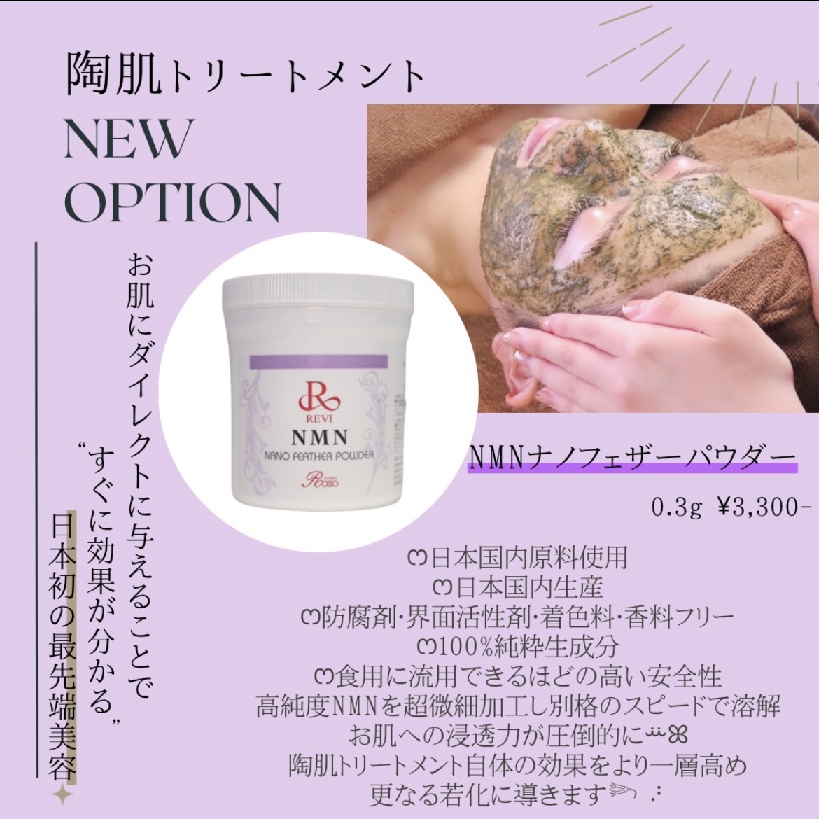 REVI 陶肌パウダー100g-